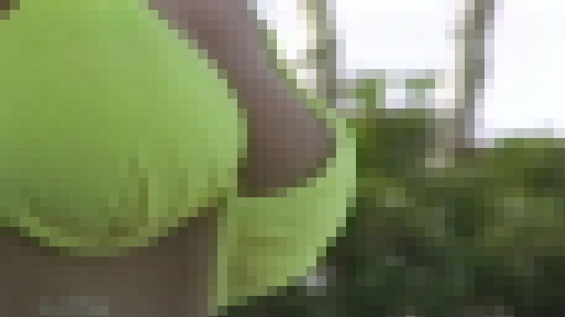 【再販】【お宝発掘プロジェクト作品】HMF-01愛しのレースクイーン 番外編〜懐かしすぎ!あの臨海エリアで撮影会!時代はハイレグ!! サンプル画像4