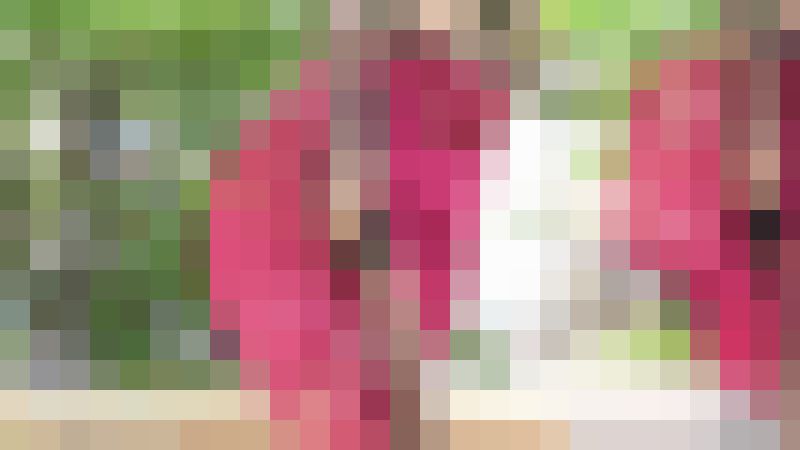 秘密のダンス Vol.23 〜ちょっと待ってお姉さん！その中身は反則です！！〜　サンプル画像2