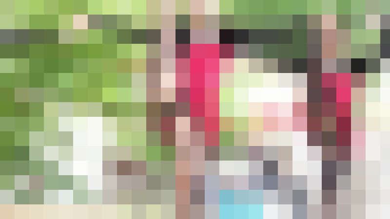 秘密のダンス Vol.23 〜ちょっと待ってお姉さん！その中身は反則です！！〜　サンプル画像4