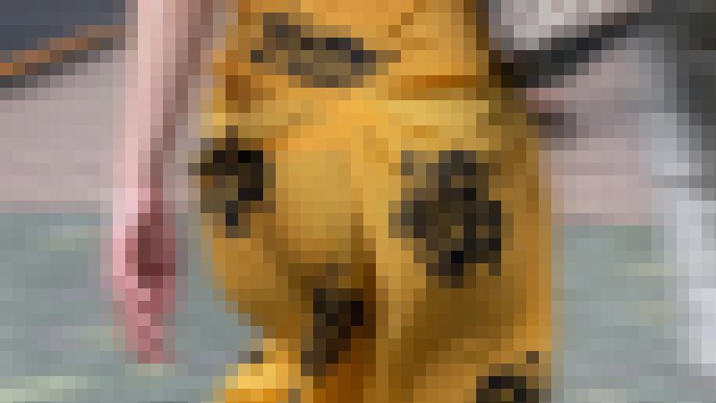 スカートからパンティー透け透け動画の詰め合わせ(/ω\) サンプル画像4