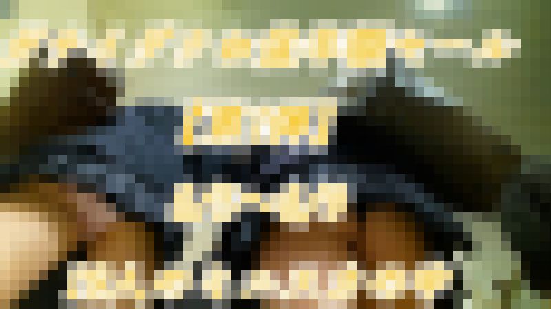 ※5日間限定販売!【お盆半額セール第一弾!】19人のミニスカの中をたっぷり堪能!8/5〜8/9で販売終了 サンプル画像1