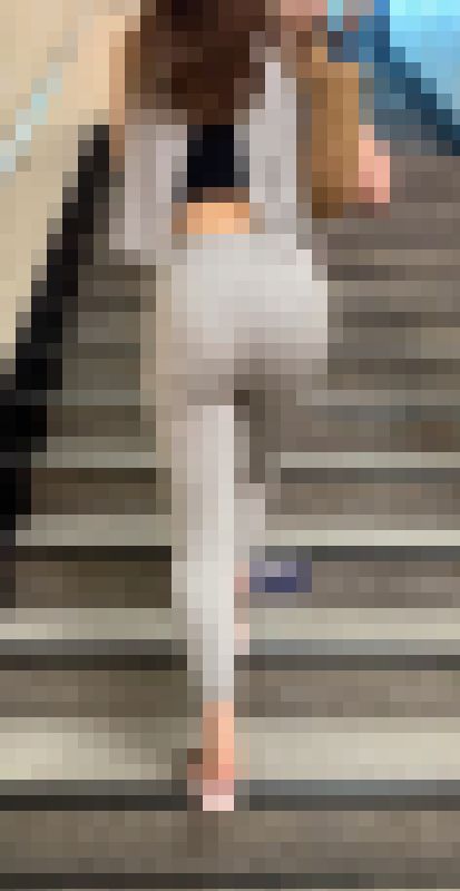 【再販】No.1608「セクシーなスウェットパンツ！美しく仕上がった美巨尻のセレブ美女」　サンプル画像1