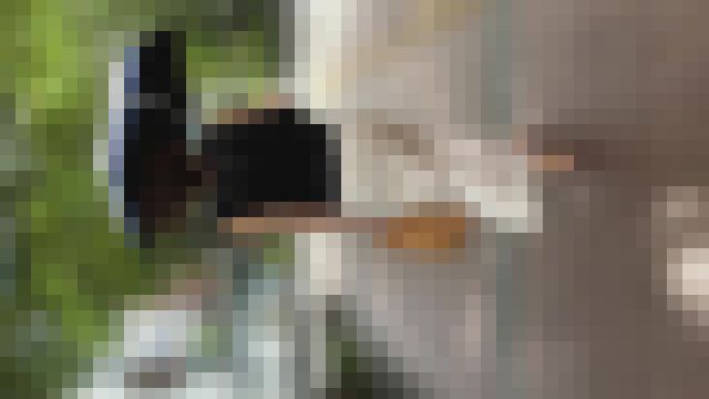 【再販】収録時間４分33秒！グラマラスなボディーラインのエロいお姉さんの後ろ姿を凝視(/ω＼)　サンプル画像4