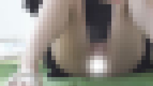 パンチラ２９　イチャイチャしてて無防備!?パンチラだけじゃない、彼女のまん丸オッパイも見えた！日射しに感謝　サンプル画像3