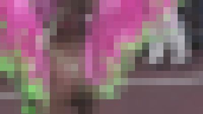 2026〇草サンバカーニバル① まさかの生足、生尻、そしてVバック!! サンプル画像6