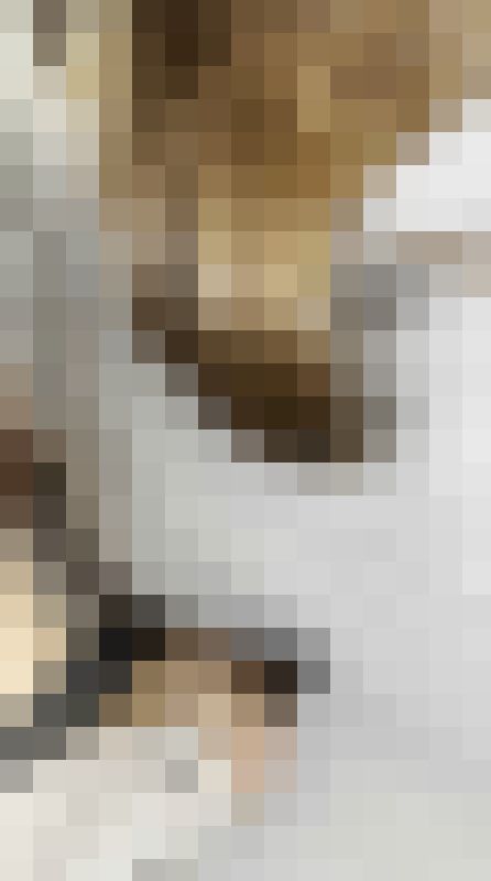 街の風景４９　お顔パーツはっきりな美人ＪＤが好きなだけ美顔とおっぱいを撮らせてくれて大歓喜?　サンプル画像2