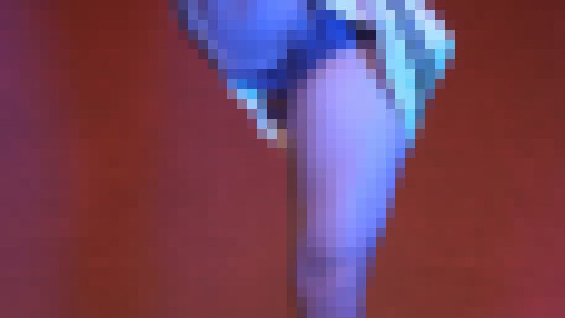 【再販】なにわガールズ1212【4K】JDチアはお宝満載！ お毛がタイツに残留！ スパッツ穿き忘れ！ ハミ尻！　サンプル画像1