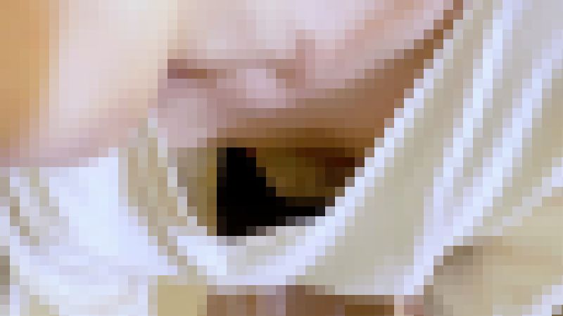 風呂掃除するBさんのB地区をただ眺めるだけ サンプル画像5